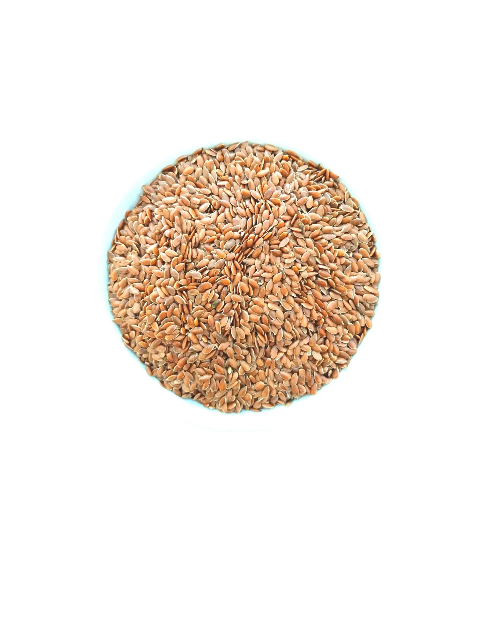 Semi di Lino